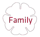 Family Photos Icon