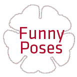 Funny Poses Graphic